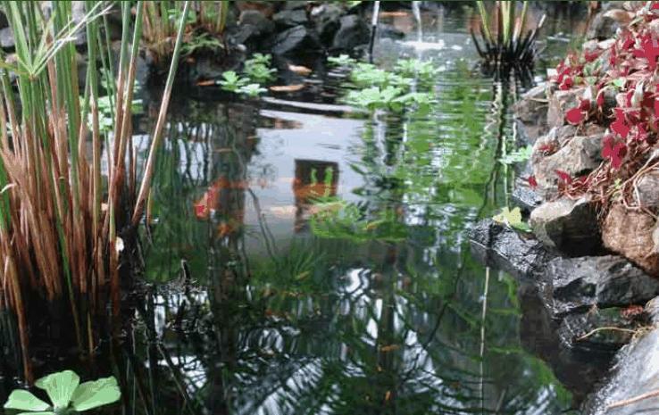 فندق Pousada Coqueiro Verde Itacaré المظهر الخارجي الصورة